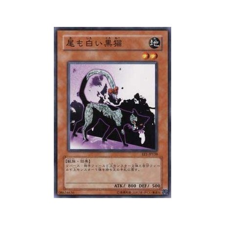 Dark Cat with White Tail - EE1-JP138