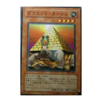 Pyramid Turtle - SD2-JP005