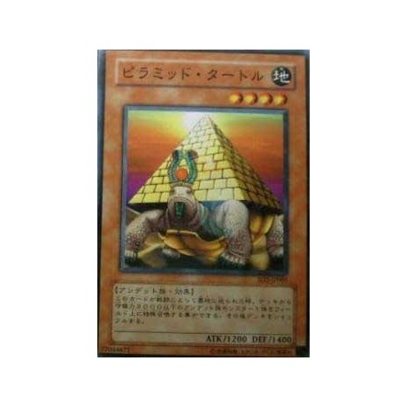 Pyramid Turtle - SD2-JP005