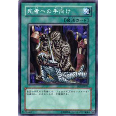 copy of Spell Shield Type-8 - SD3-JP030