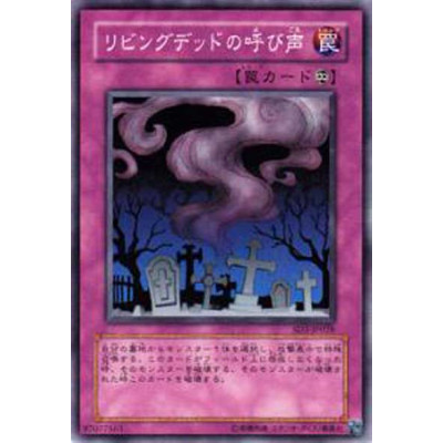 copy of Spell Shield Type-8 - SD3-JP030