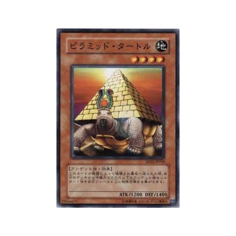 Pyramid Turtle - SD15-JP010