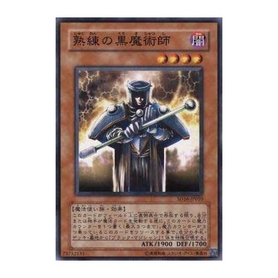 Skilled Dark Magician - SD16-JP010