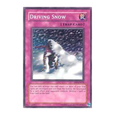 Driving Snow - 25th - PSV-EN018