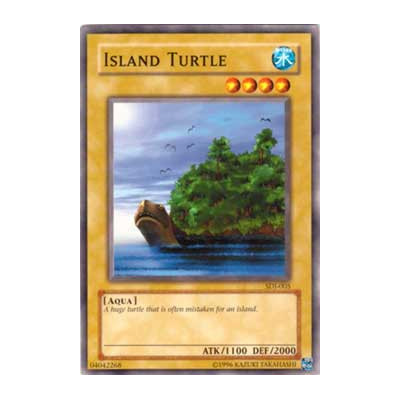 Island Turtle - 25th - PSV-EN095