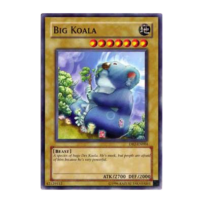 Big Koala - 25th - IOC-EN004