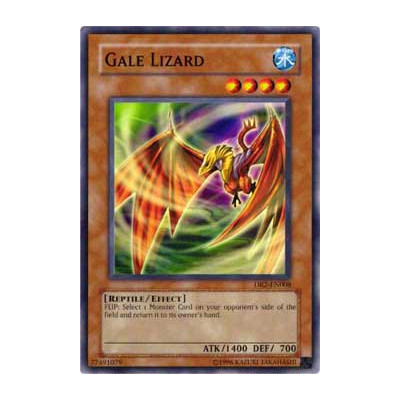 Gale Lizard - 25th - IOC-EN008