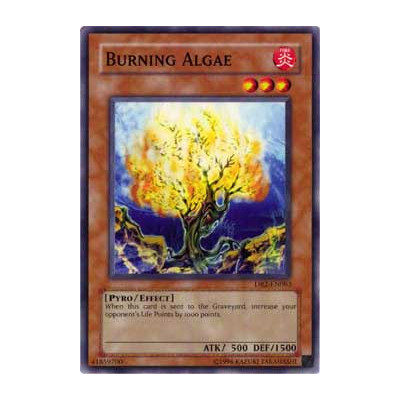 Burning Algae - 25th - IOC-EN062