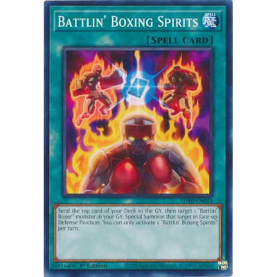 Battlin' Boxing Spirits - LD10-EN045