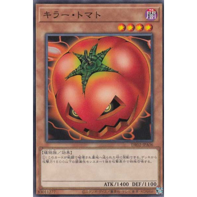 Mystic Tomato - DR02-JPA06