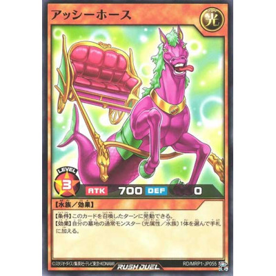 Assi-Sea Horse - RD/MRP1-JP055