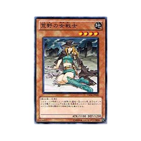 Warrior Lady of the Wasteland - YSD6-JP020