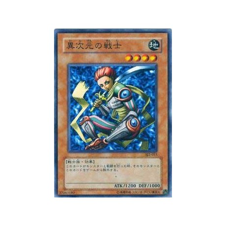 D.D. Warrior - SJ2-015