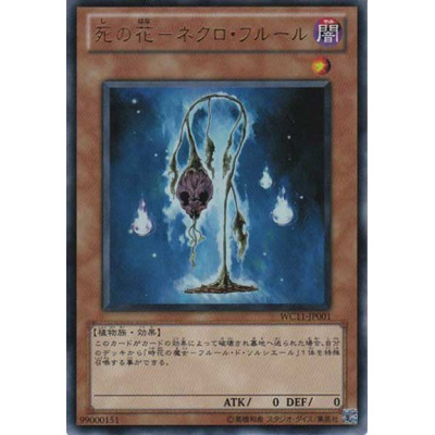 copy of Sorciere de Fleur - WC11-JP002