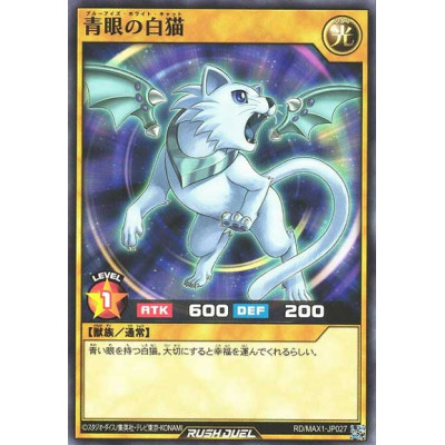 copy of Blue-Eyes White Cat - RD/MAX1-JP027