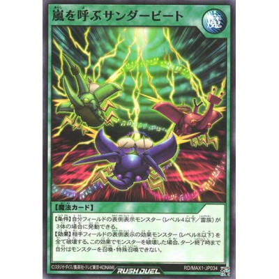 copy of Storm-Summoning Thunderbeatles - RD/MAX1-JP034