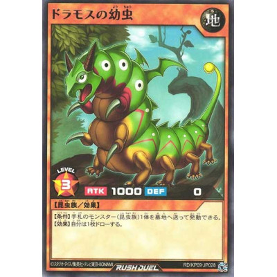 Dramoth Caterpillar - RD/KP09-JP028