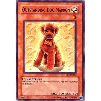 Outstanding Dog Marron - DCR-062