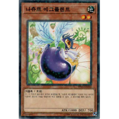 Naturia Eggplant - PP13-KR034