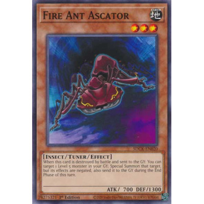 Fire Ant Ascator - SDCK-EN020