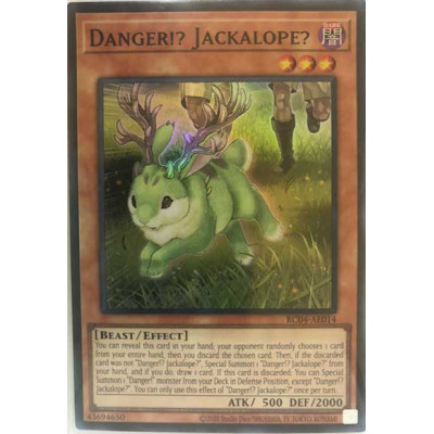 Danger Jackalope - RC04-AE014 - Versao Asiatica