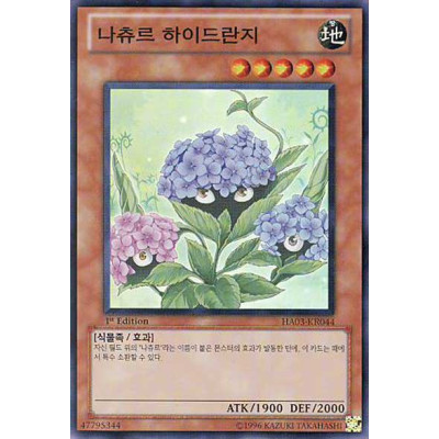 Naturia Hydrangea - HA03-KR044