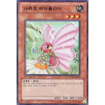 Naturia Butterfly - HA04-KR019 - Nova