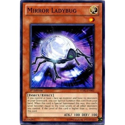 Mirror Ladybug - STBL-EN002