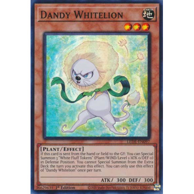 Dandy Whitelion - LEDE-EN097