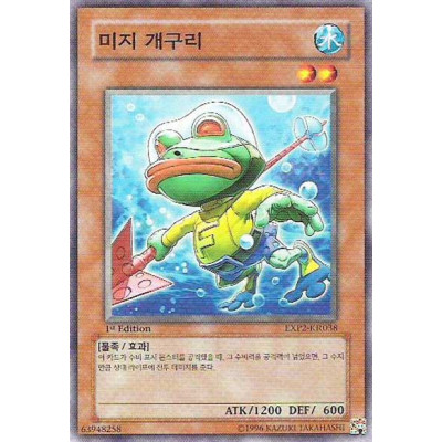 Submarine Frog - EXP2-KR038