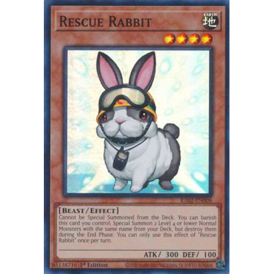 Rescue Rabbit - RA02-EN008