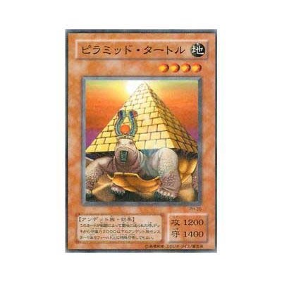 Pyramid Turtle - PH-26