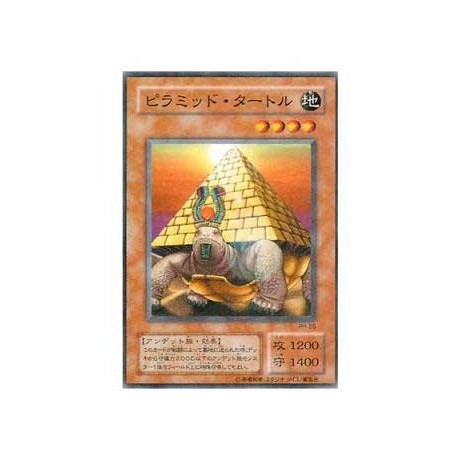 Pyramid Turtle - PH-26