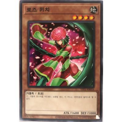 Rose Witch - SYP1-KR016