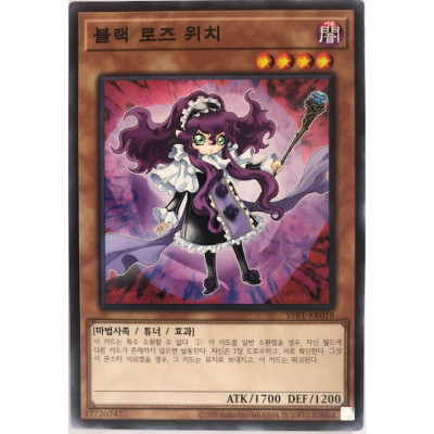 Witch of the Black Rose - SYP1-KR018