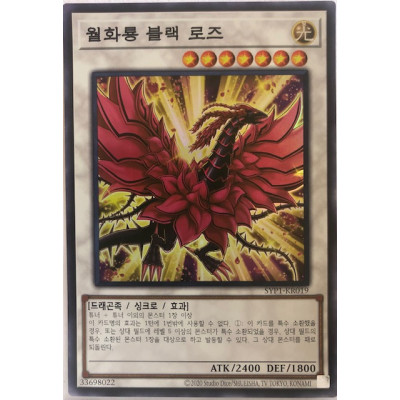 Black Rose Moonlight Dragon - SYP1-KR019