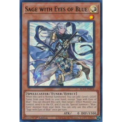 Sage with Eyes of Blue - BLC1-EN014 - Prata - Usada