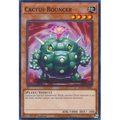 Cactus Bouncer - BLC1-EN065