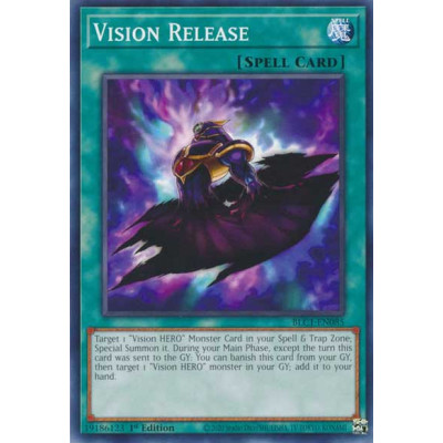 Vision Release - BLC1-EN085