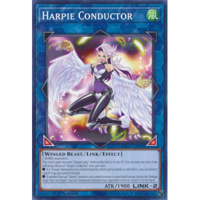 Harpie Conductor - BLC1-EN093