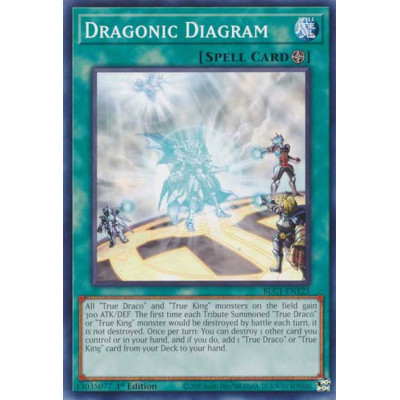 Dragonic Diagram - BLC1-EN125