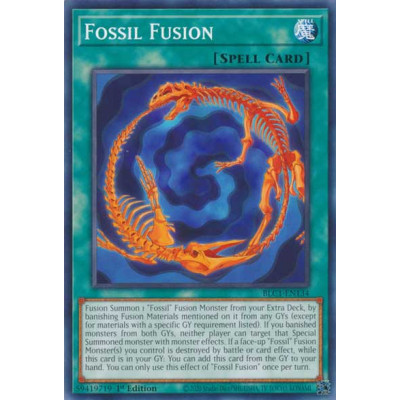 Fossil Fusion - BLC1-EN134