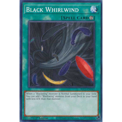 Black Whirlwind - BLC1-EN142