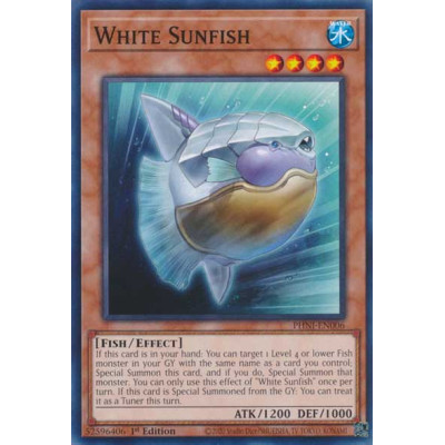 White Sunfish - PHNI-EN006