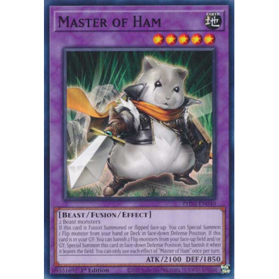 Master of Ham - PHNI-EN040