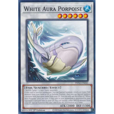 White Aura Porpoise - PHNI-EN041