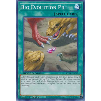 Big Evolution Pill - SGX4-ENC12