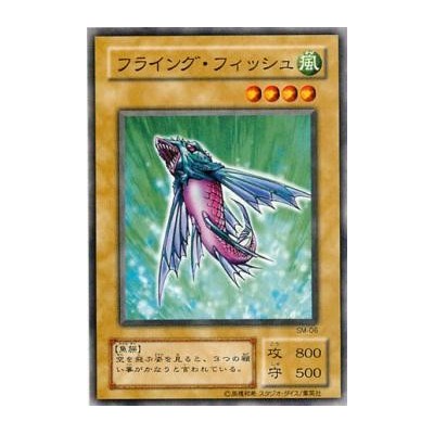 Flying Fish - SM-06 - Nova