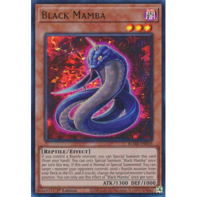 Black Mamba - BLMR-EN019