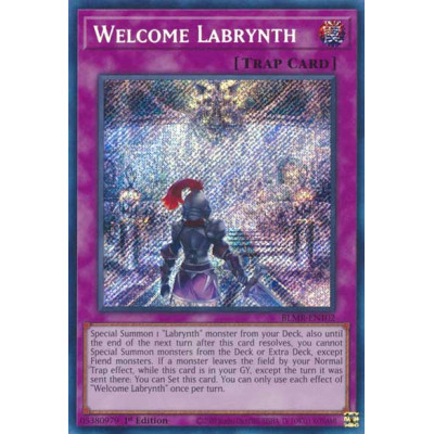 Welcome Labrynth - BLMR-EN102